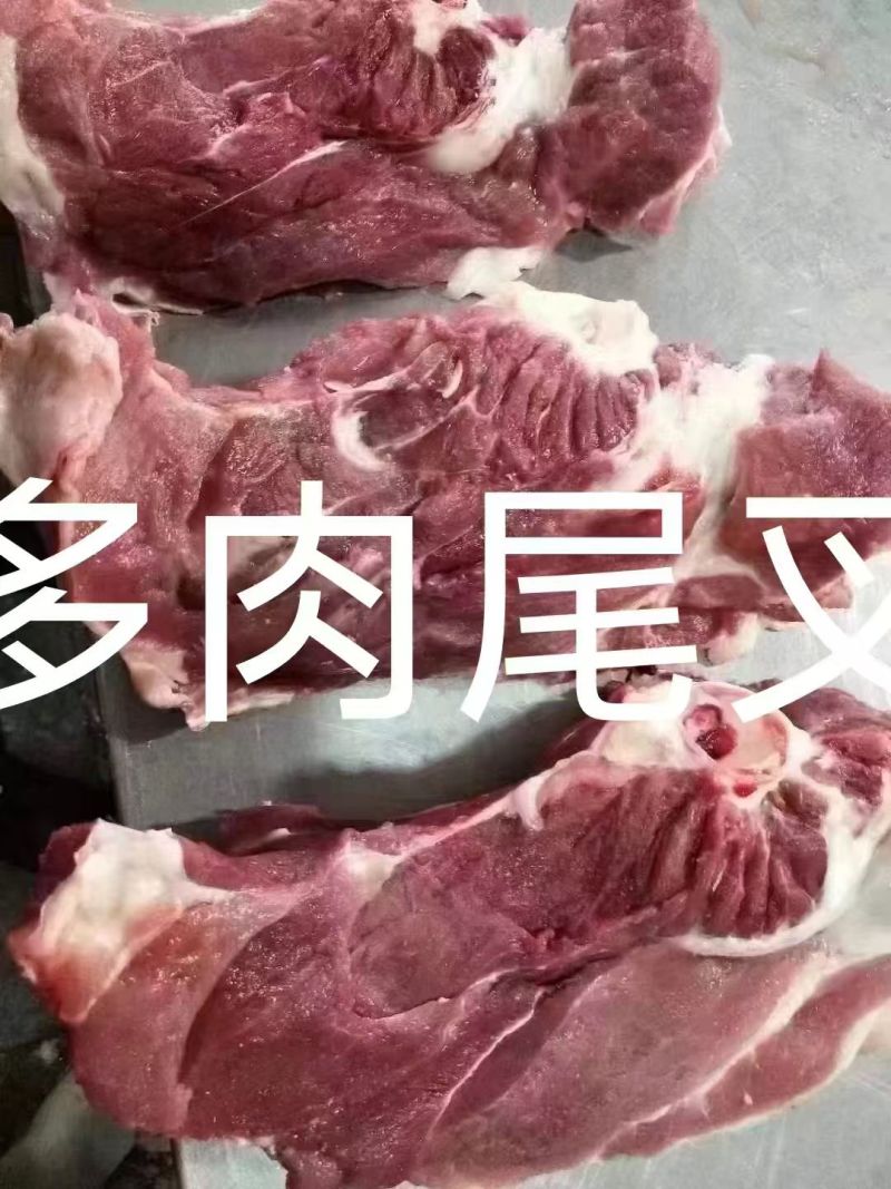 多肉尾叉骨品质保证大量供应可视频看货欢迎来电咨询