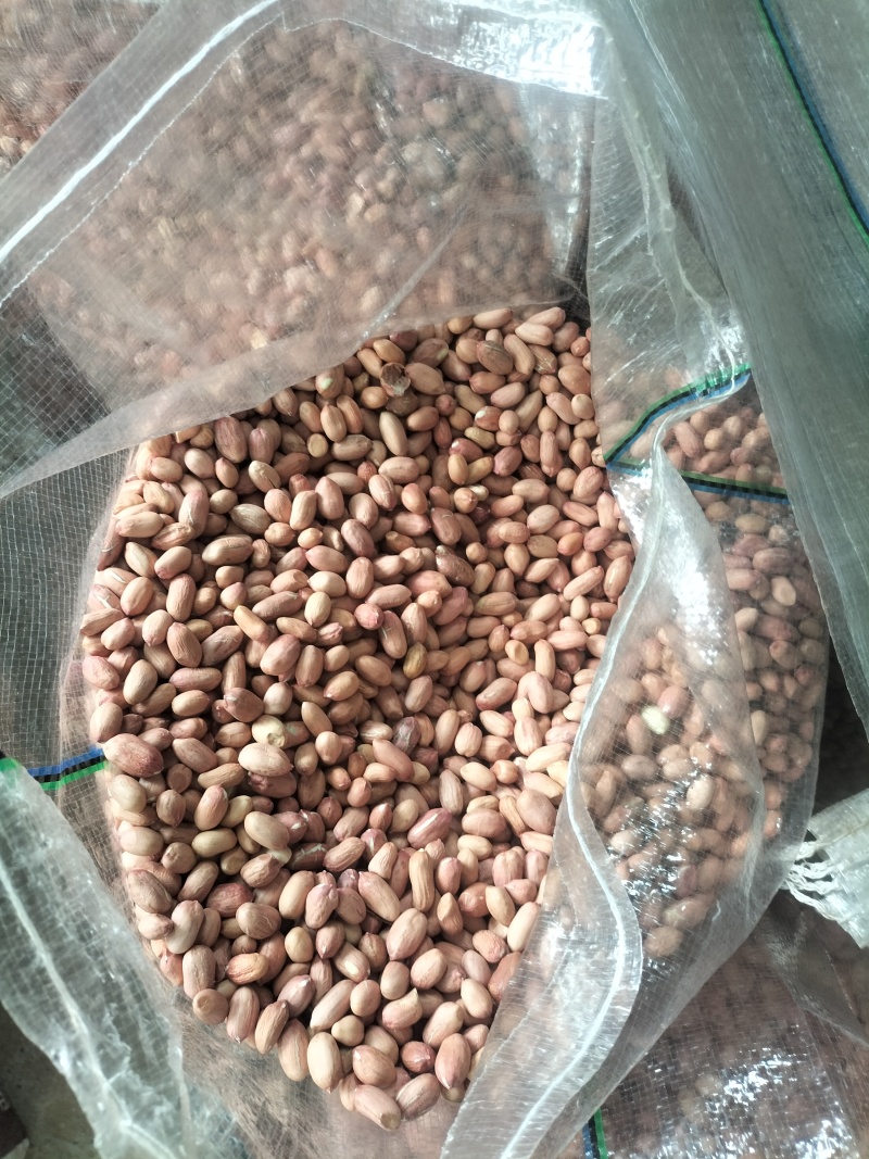 河南精品大花生米，长年供货，可供超市，电商，市场