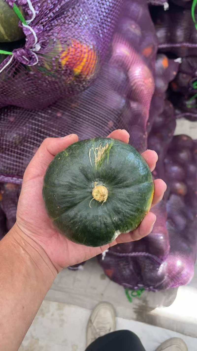 贝贝南瓜