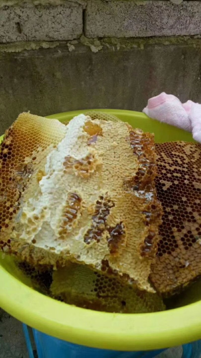 贵州深山土蜂蜜，一年只取蜜一次，数量不多，欢迎品尝
