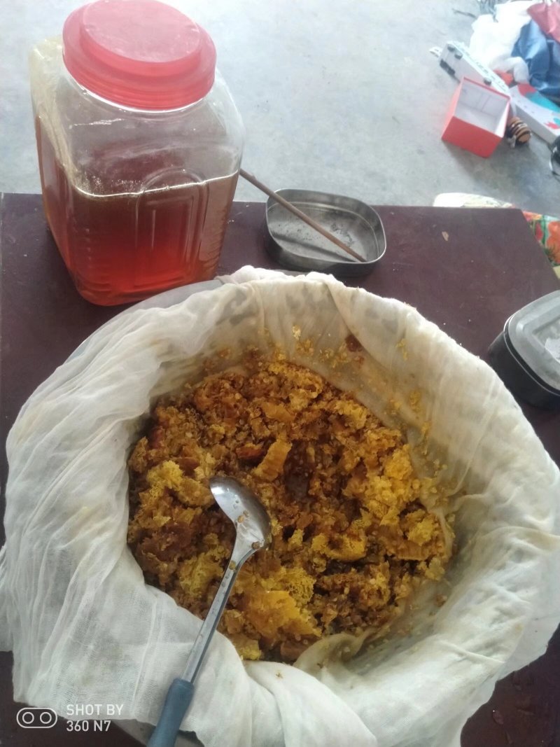 贵州深山土蜂蜜，一年只取蜜一次，数量不多，欢迎品尝
