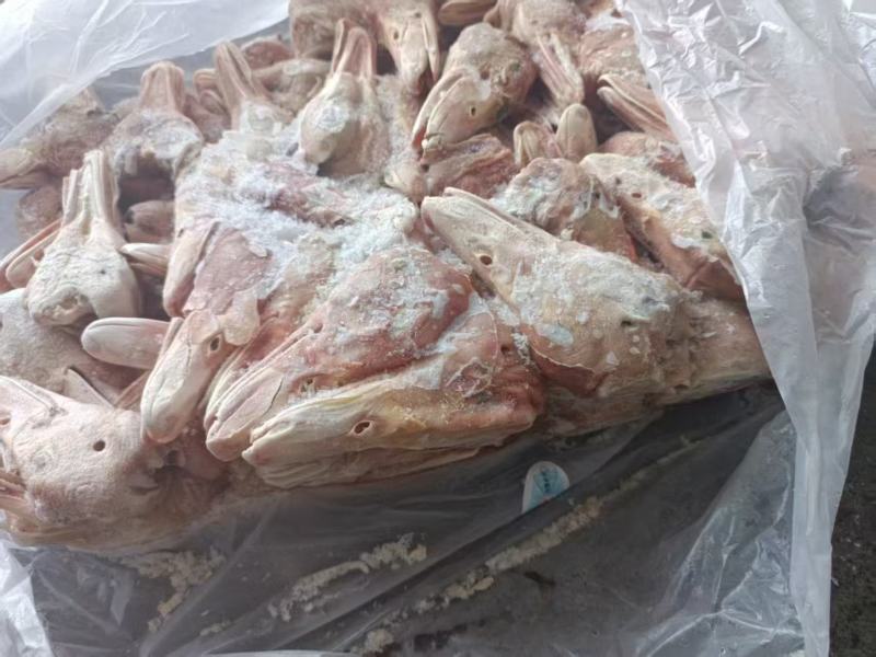 大板鸭头长期有货
