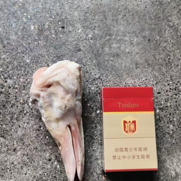 大板鸭头长期有货