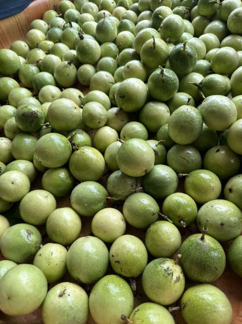 黄金百香果