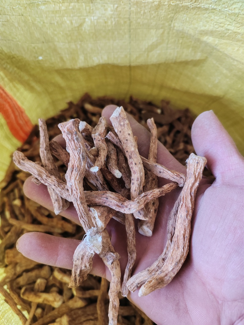 铁棍山药毛条