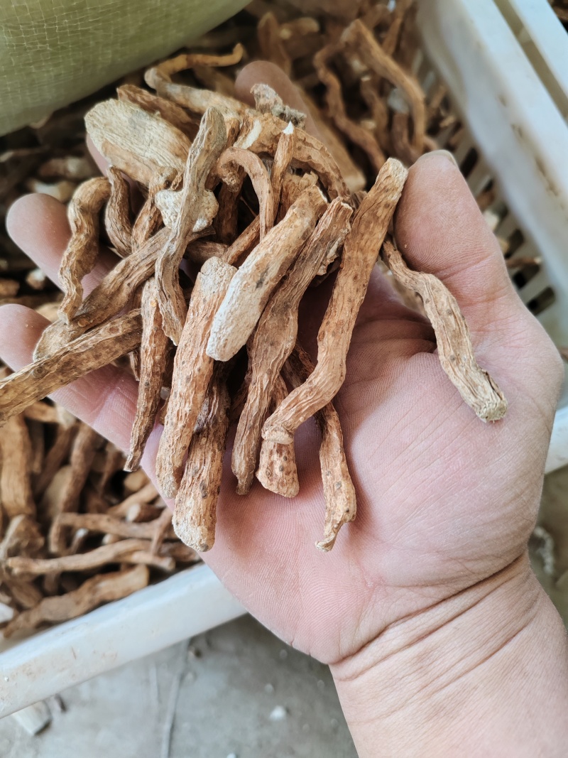 铁棍山药毛条