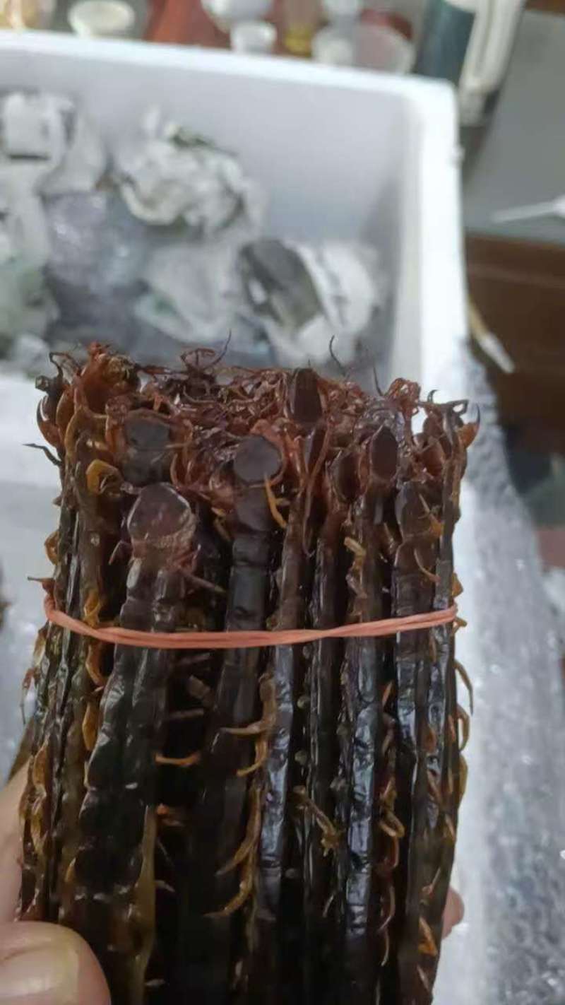 **干货，低价出售