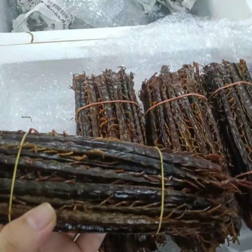 **干货，低价出售