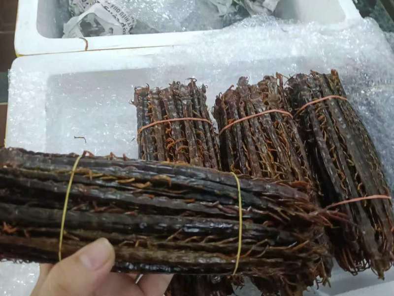 **干货，低价出售