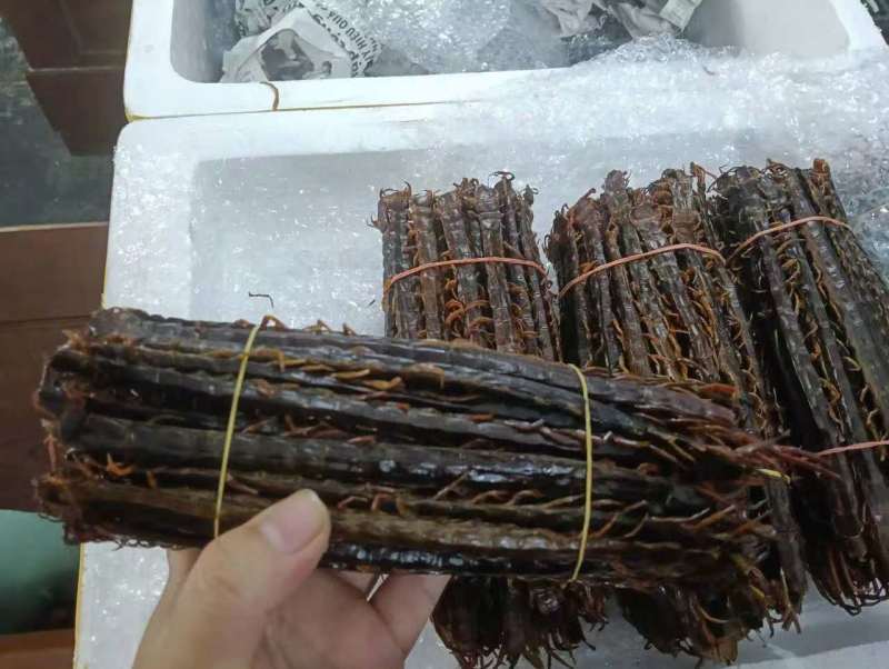 **干货，低价出售