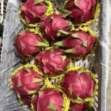 大量出货
