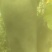 东瓜
