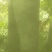东瓜