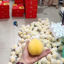 炎陵景秀黄桃