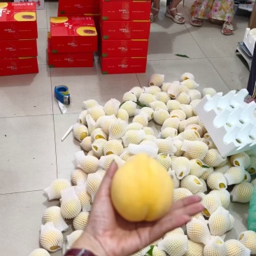 炎陵景秀黄桃