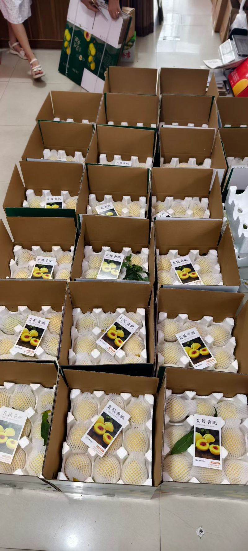 炎陵景秀黄桃