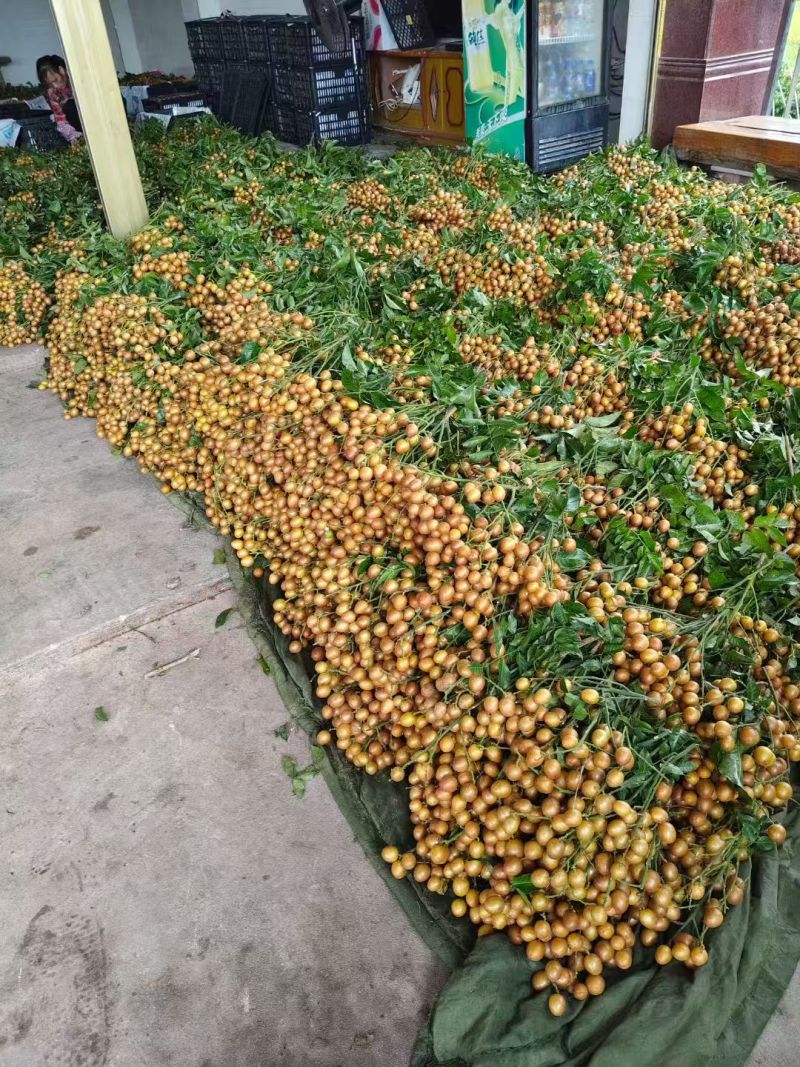 钦州
