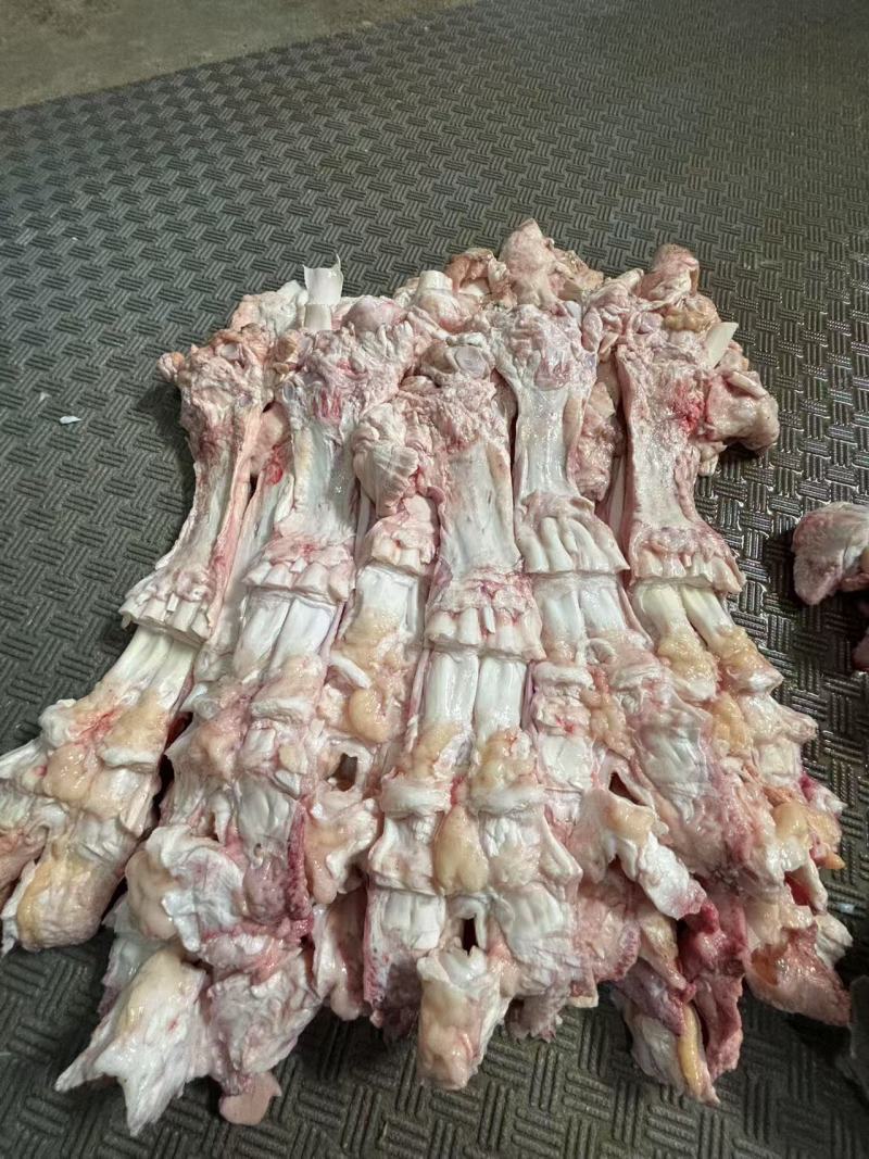 纯干牛蹄筋