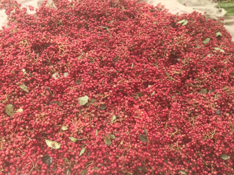 陇南正宗大红袍色香味俱全颜色正红有意者联系300斤