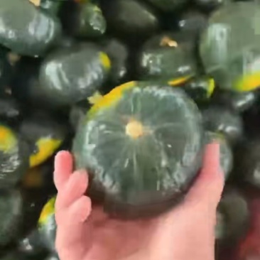 贝贝南瓜
