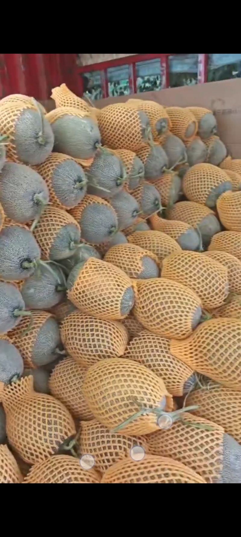 哈密瓜