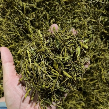 黄金芽毛峰二十几