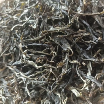 云南普洱茶
