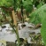 西双版纳勐海县烧烤茄子
