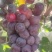 沪太八号葡萄🍇