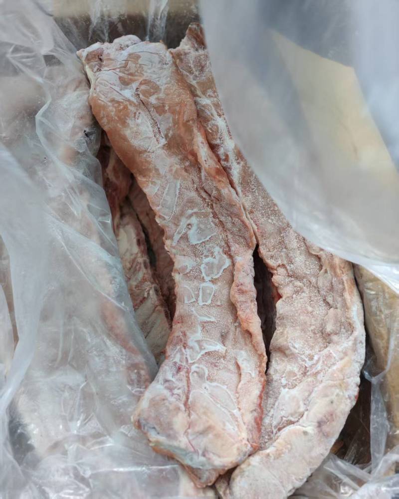 肥猪多肉龙哥