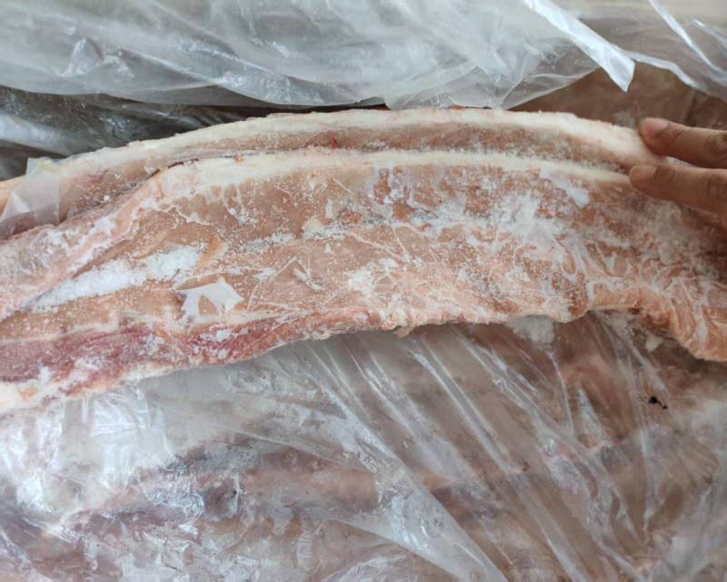 肥猪多肉龙哥