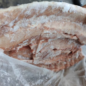肥猪多肉龙哥