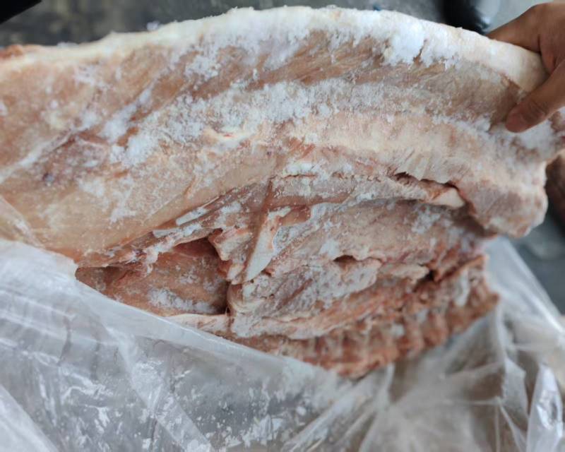 肥猪多肉龙哥