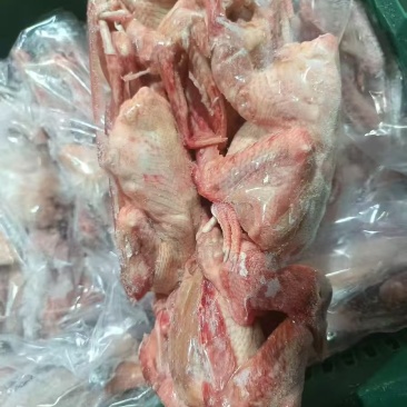 一级鸽子5-6两全净膛