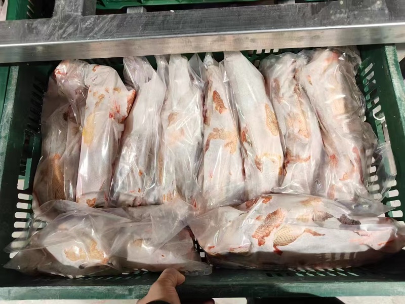 一级鸽子5-6两全净膛