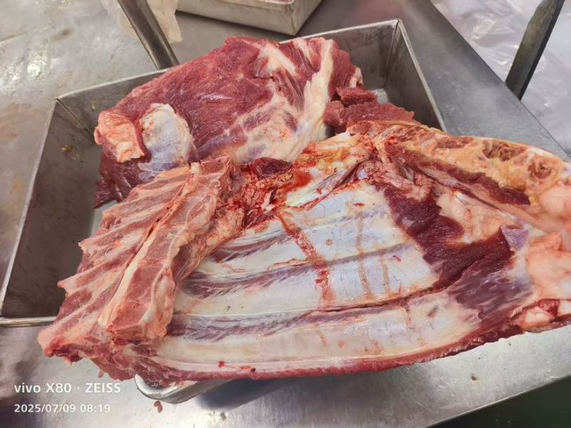 肋排条前排条去颈前排切条电商爆品纯纯的新货