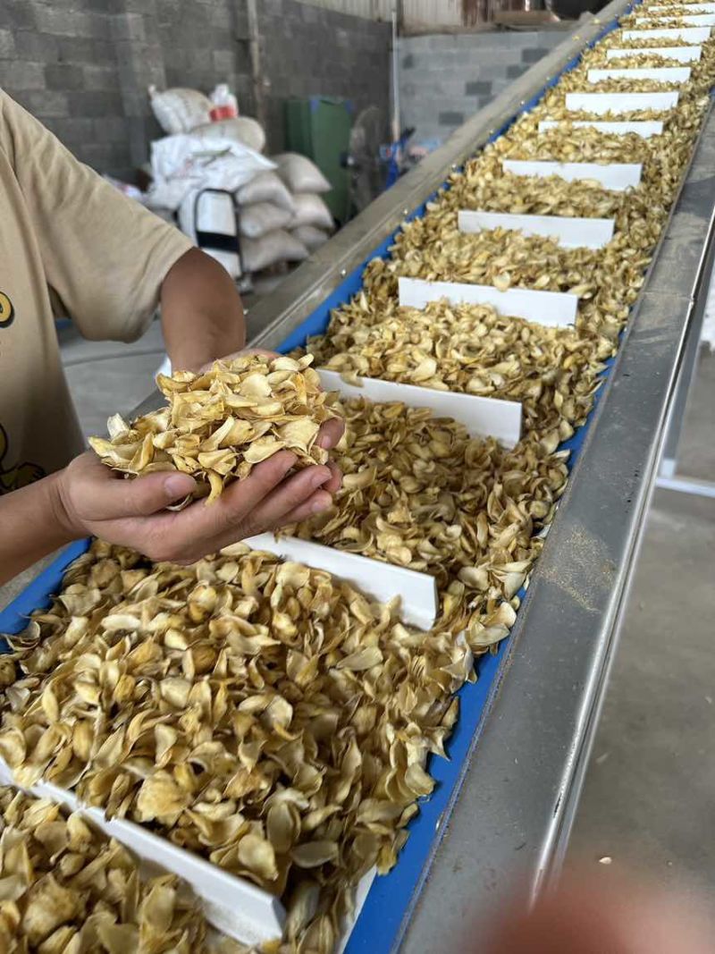 湖南龙山百合干片，老百姓自产自销！欢迎各位发财老板前来采购！