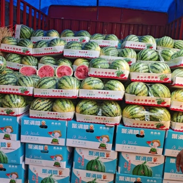 黑美人，美都，绿赏，西瓜🍉