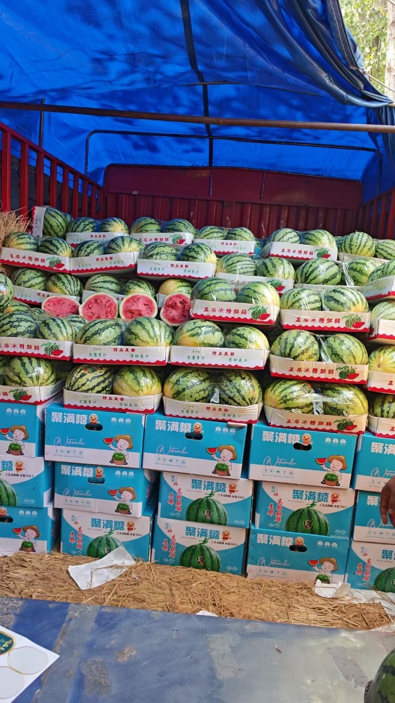 黑美人，美都，绿赏，西瓜🍉