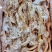 预煮小肠