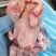 带耳生猪头