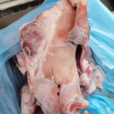 带耳生猪头