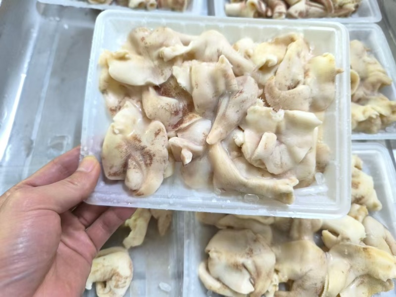 大鸟贝肉