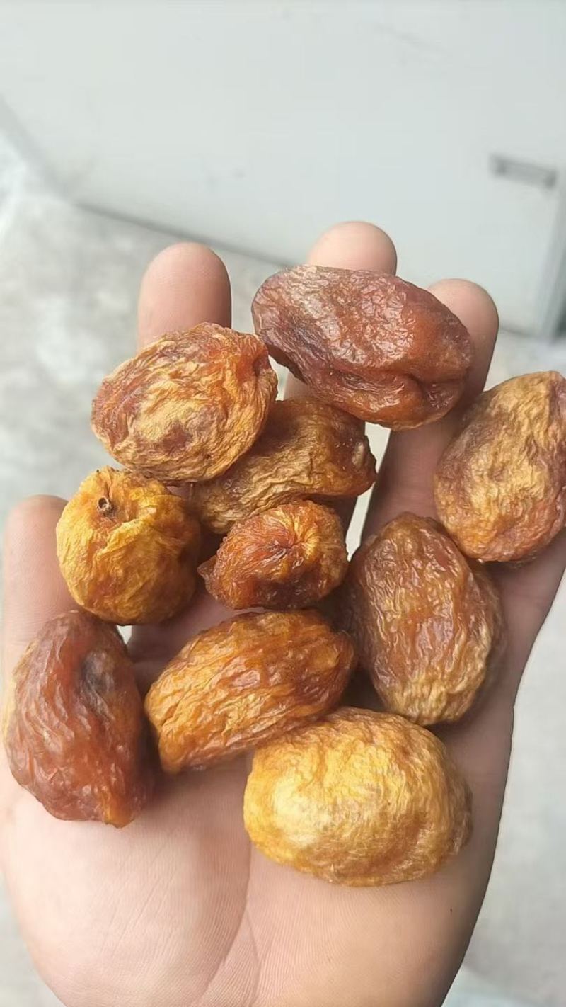 新疆轮台小白杏干
