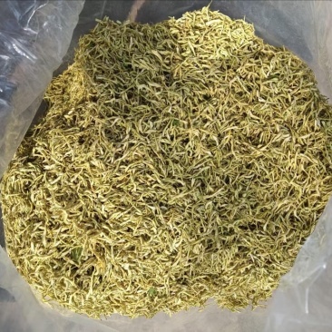 金银花