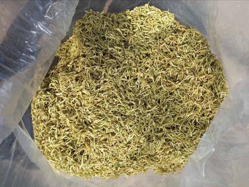 金银花
