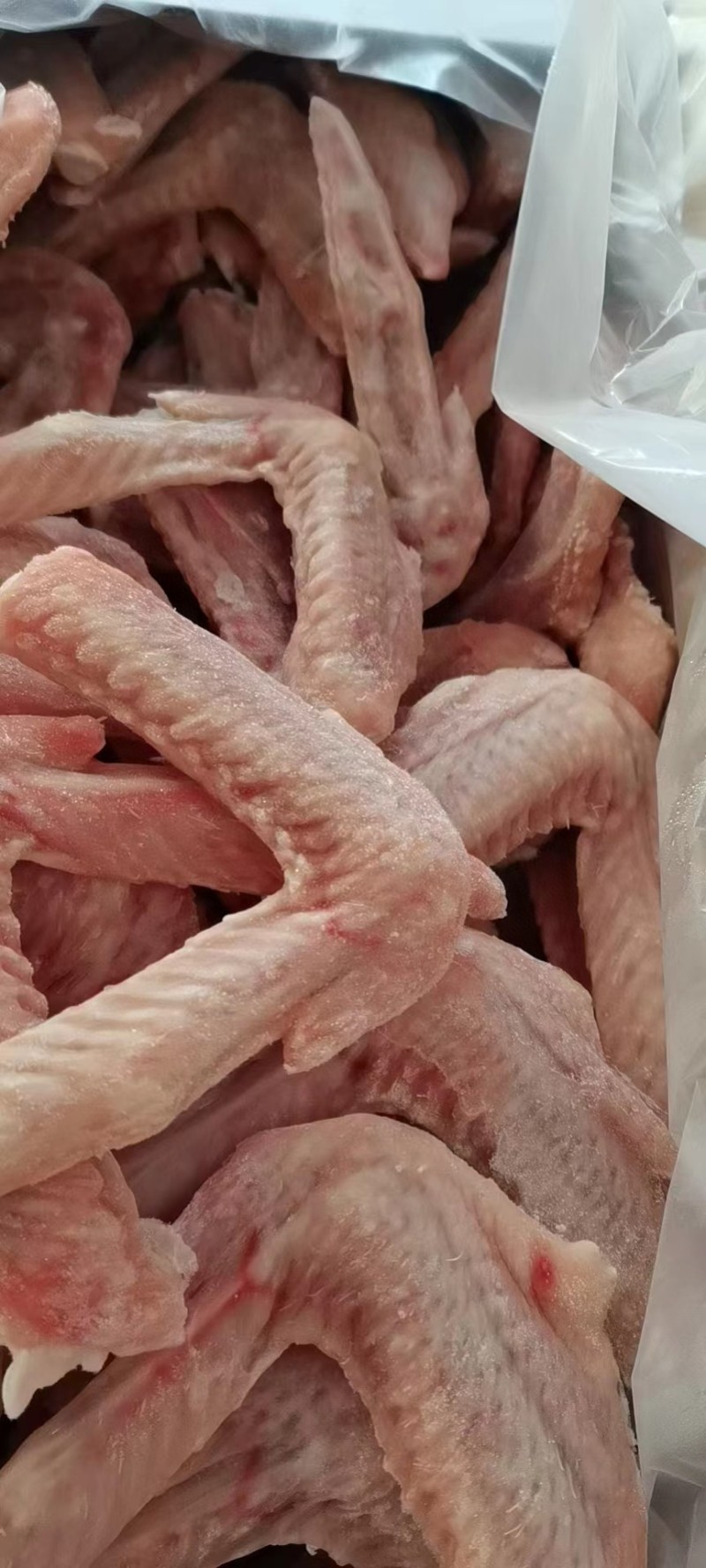 鸡全翅