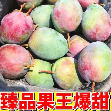 凯特芒果新鲜水果批发价一件代发应季当季大芒果核薄肉厚