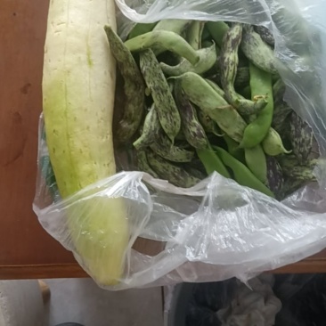 豆角和老黄瓜