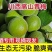 川西青梅什么样子的规格都有要什么量和大小都好商量